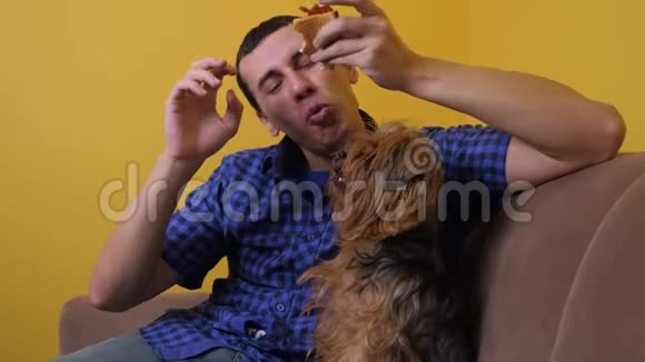人和狗吃披萨有趣的视频快乐的男人和狗宠物吃一片披萨的概念饥饿的雄性吃一片视频的预览图