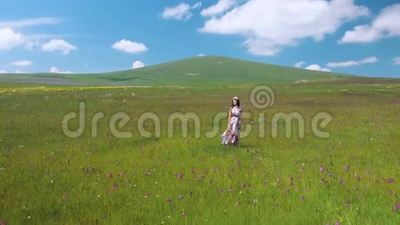 年轻美丽的幸福女子留在草地上长裙迎风飘扬戴着花圈的漂亮少女视频的预览图