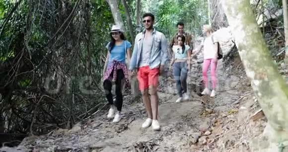 在森林小径上徒步行走的人群青年男女徒步行走视频的预览图