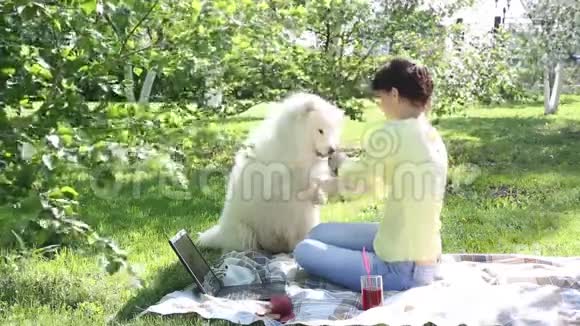 一个女孩正在公园里野餐喂她的狗视频的预览图