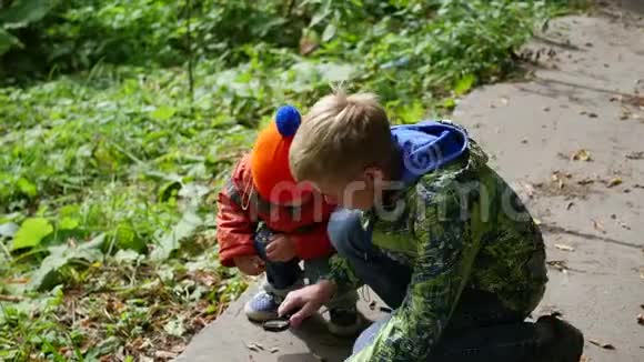 公园里的两个孩子通过放大镜检查植物和昆虫学习外部世界学前教育视频的预览图