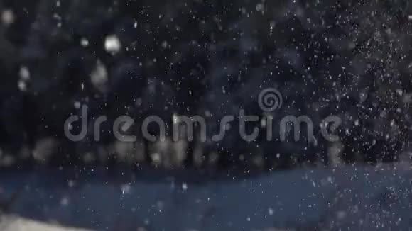 慢镜头在森林的背景上飘落着细小的雪花视频的预览图