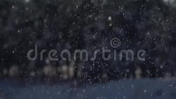 闪亮的雪花落在森林背景上慢镜头视频的预览图