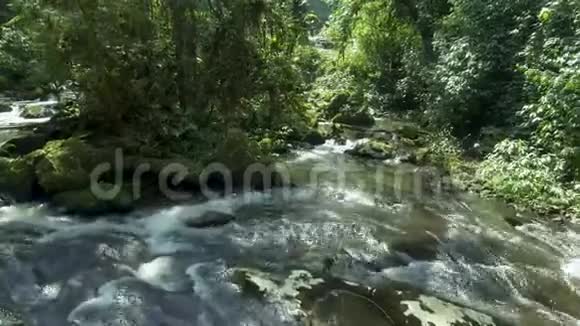 无人驾驶飞机将瀑布高速射向森林中央视频的预览图