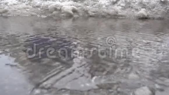 春溪雪冰背景视频的预览图