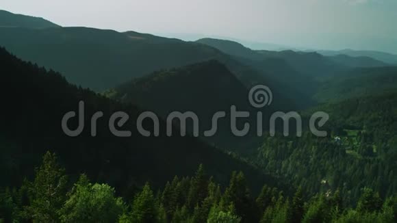 一座巨大的绿色森林山脉视频的预览图