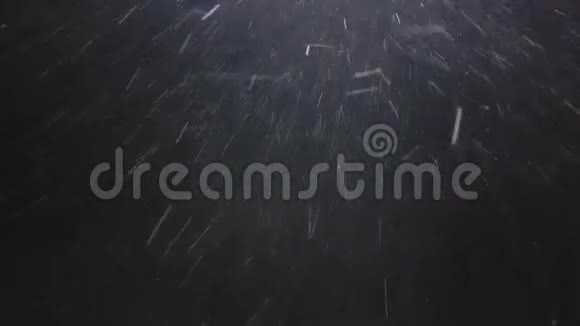 降下真正的雪花大雪暴风雪天气拍摄于黑色背景哑光广角无缝视频的预览图