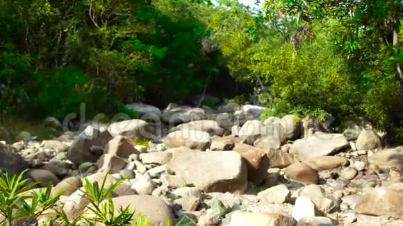 丛林中干涸的河流中的大型岩石和巨石干旱季节有大石头的干河床干河视频的预览图