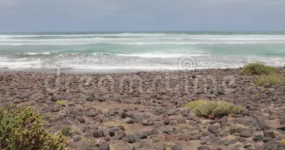 西班牙加那利群岛兰萨罗特有植被的野生海滩视频的预览图