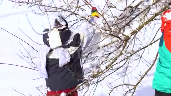 快乐的一家人在雪地里玩得很开心妈妈和她的两个孩子他们把雪从树上摇下来笑视频的预览图