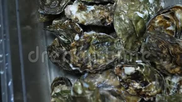 牡蛎冷了牡蛎在烹饪前被储存起来水中烤牡蛎特写视频视频的预览图