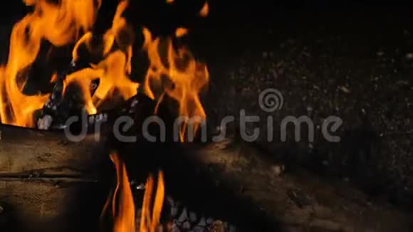 柴火烧在烧烤中视频的预览图