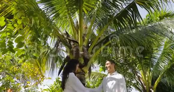 情侣站在棕榈树下亲吻热带花园欢乐男女户外视频的预览图