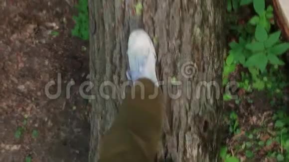 旅行者在森林里的木头上行走观点视频的预览图