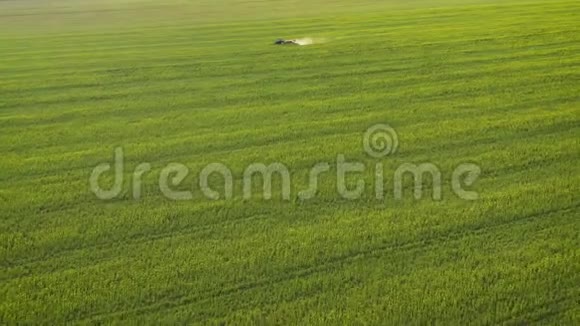 拖拉机的空中视野处理农田上的农业植物视频的预览图