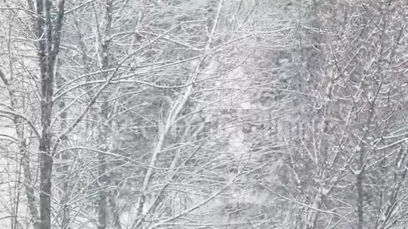 童话般的冬天天气大雪纷飞视频的预览图