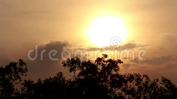 黄昏时分太阳落山公园里的树木上有黄色和橙色的天空视频的预览图