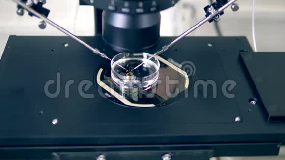 现代显微镜不是人关闭放置在显微镜及其眼睛上的物体视频的预览图