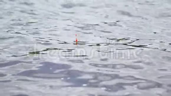红色的小花在河的波浪上摇摆视频的预览图