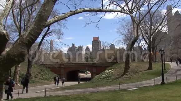纽约市中央公园慢跑者小组视频的预览图