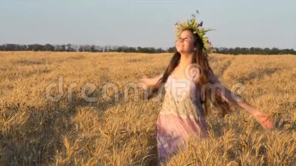 快乐的女孩在金色的麦田里跳舞抚摸成熟的耳朵视频的预览图