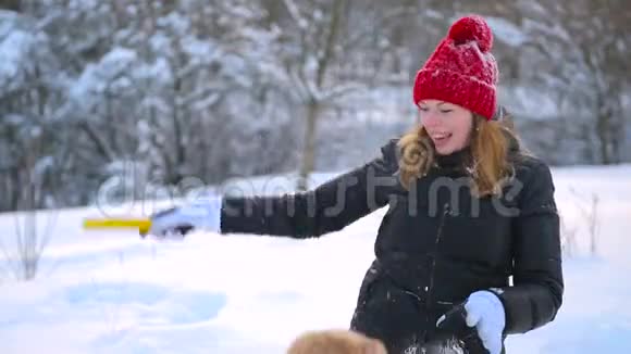 女人在雪地里玩棍子和公鸡猎犬视频的预览图