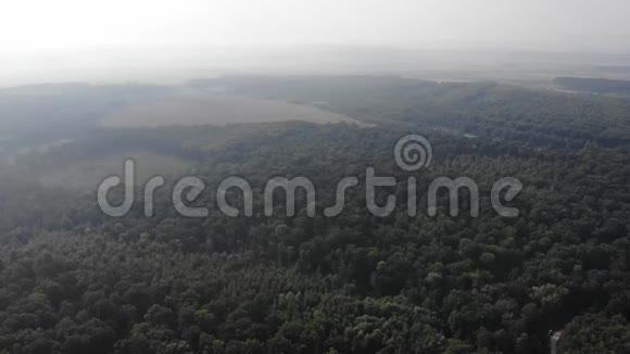 乌克兰的橡树森林砍伐空中观景飞行前进技术视频的预览图
