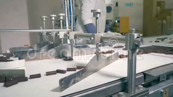 巧克力糖果沿着传送带移动然后由工人分类视频的预览图