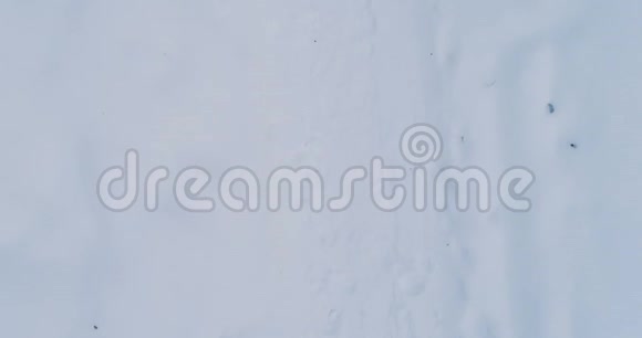 空中视频雪道在森林中的冬季傍晚顶景视频的预览图