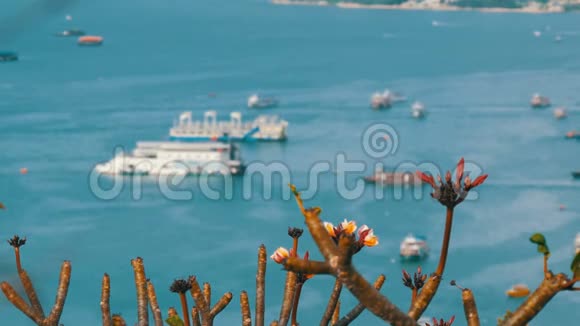 帕塔亚泰国2018年2月7日帕塔亚湾南海之景各种船只在海湾视频的预览图