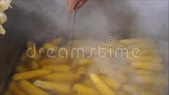 一组有机玉米在一个大金属锅中沸腾视频的预览图