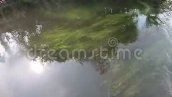 水下的河流绿色的苔藓和水流在上面视频的预览图