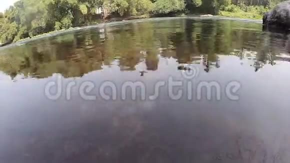 水下河流苔藓和水流在上面视频的预览图