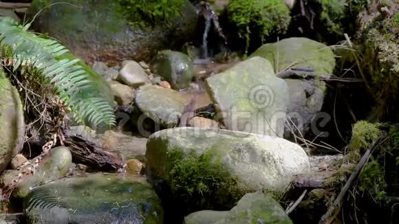 河水从石头间流了下来视频的预览图