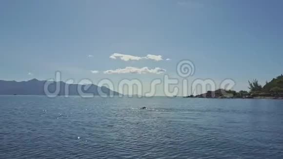 在海洋与海岸的近镜头下女孩游泳视频的预览图