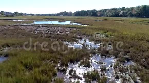 空中无人机低飞过沼泽通过草地和水4K视频的预览图