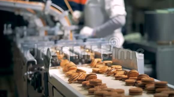 饼干正在沿着工厂机器的传送带下降背景是4K的工人视频的预览图