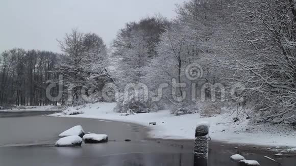 河岸积雪下的树木视频的预览图