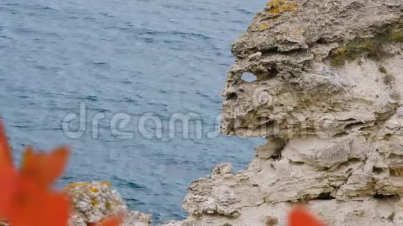 峭壁类似于大海背景上的龙视频的预览图
