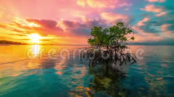 在色彩斑斓的夕阳下海洋与云彩和一棵红树林在水中的倒影在努沙伦邦视频的预览图