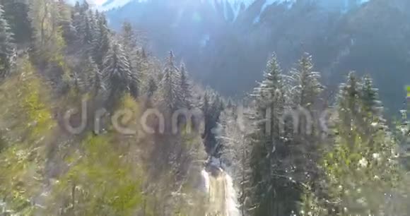 4k无人机空中拍摄的冬季蒙大拿路穿越松林视频的预览图