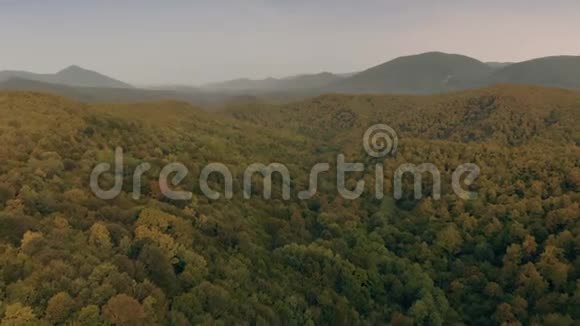 森林和山脉的空中视频的预览图
