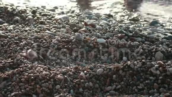 小乌龟走向大海小海龟在沙滩上爬到海里视频的预览图