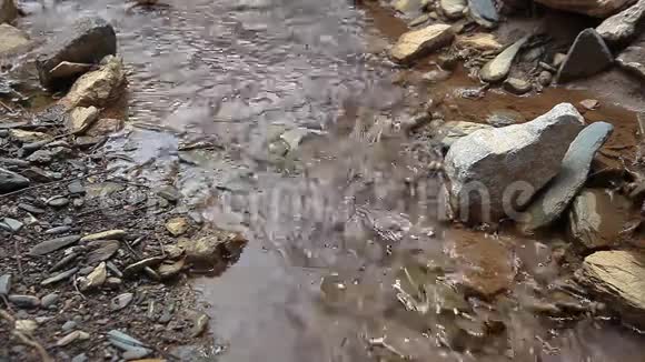 自然水流视频的预览图