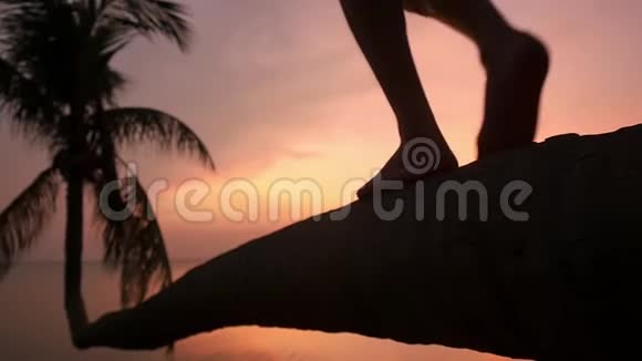 在美丽的夕阳下在热带海滩的棕榈树上雄性的双腿紧紧地走着休假时间慢动作视频的预览图