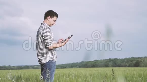 一个黑头发件格子衬衫的农夫站在绿色的麦田里在田野里拿着一块平板电脑视频的预览图