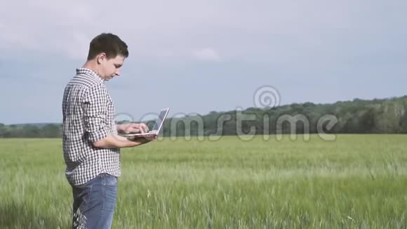 一个黑头发件格子衬衫的农夫站在绿色的麦田里拿着笔记本在地里干活视频的预览图