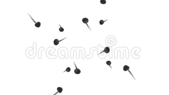 大量的流动形成环墨水注入是孤立的白色在缓慢的运动水中的黑色卷发英奇视频的预览图