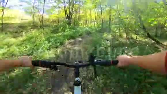 秋天阳光明媚一个骑自行车的人骑在森林里视频的预览图