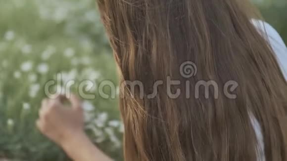 一个长发女孩抚摸着白色的野花特写镜头夏天视频的预览图